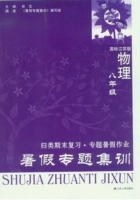 暑假专题集训 八年级 物理 答案 (肖文) 江苏人民出版社 - 封面