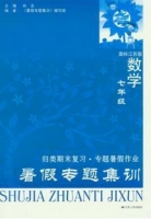 暑假专题集训 七年级 数学 答案 (肖文) 江苏人民出版社 - 封面