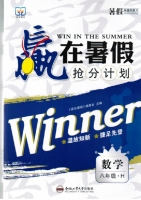 赢在暑假 抢分计划 八年级 数学 答案 合肥工业大学出版社 - 封面